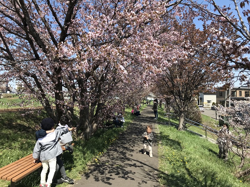 軽川桜つづみ