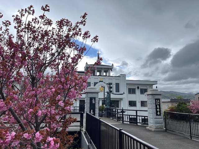 境内の桜