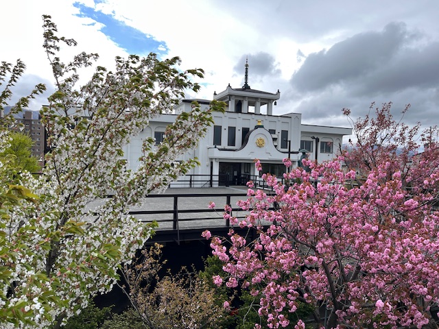 境内の桜